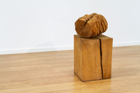 Escutando a história de um carvalho II