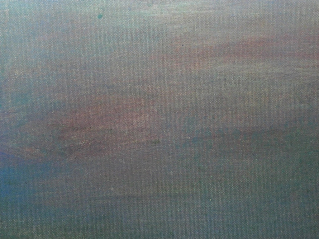 “Peregrinando XXIX”