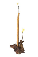 "Rebentos que Brotam Inflorescências II"