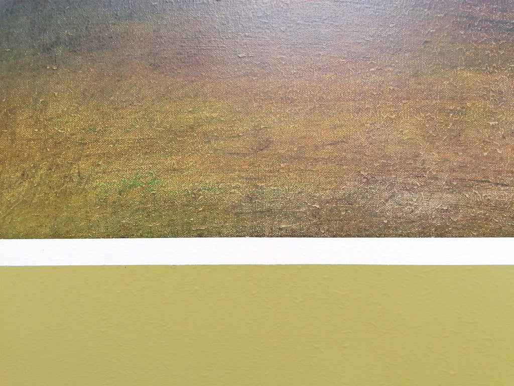 #14 Peregrinando Sempre