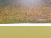 #14 Peregrinando Sempre