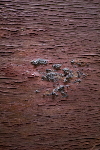 Resistência (do Diálogo) I