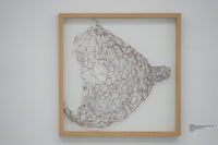 The Locked Dream (From The Series Genetrix)