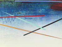 “Peregrinando XV”