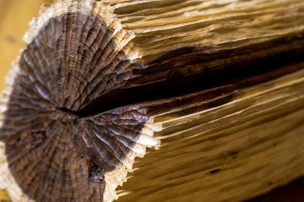 Monumento para uma Árvore Desconhecida III