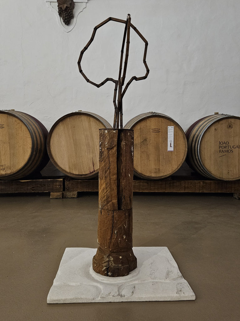 "Árvore e Solo - Memórias Vindouras"