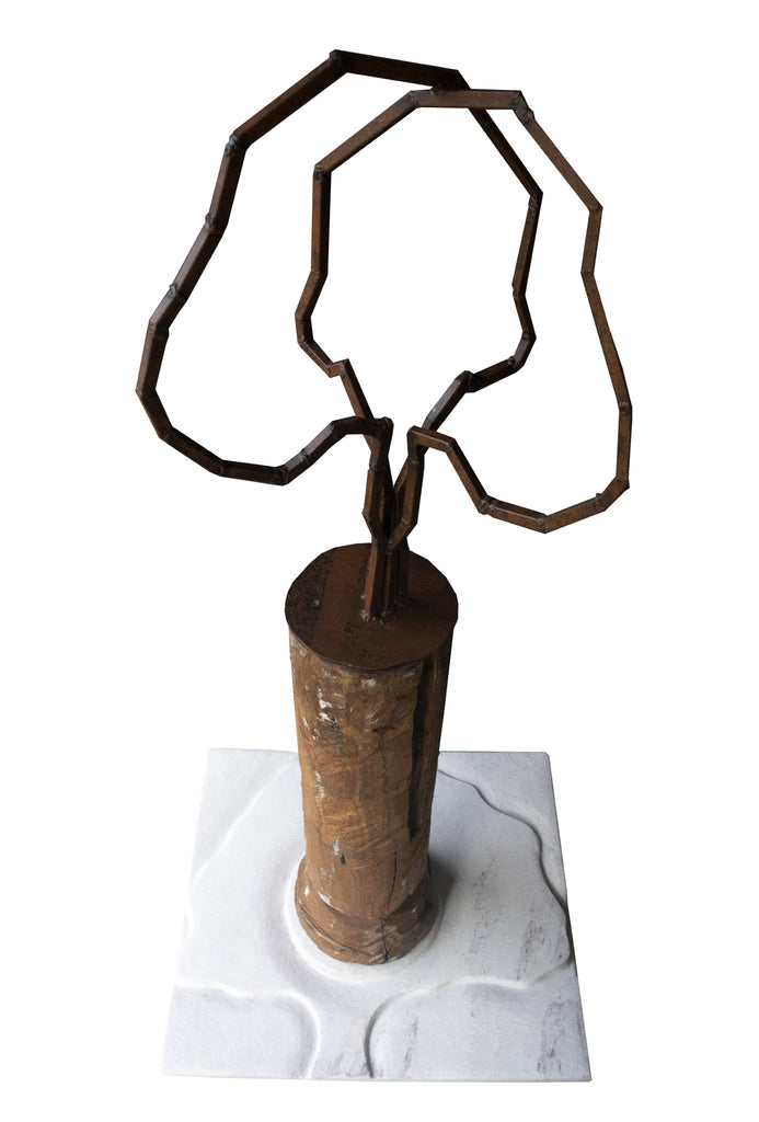 "Árvore e Solo - Memórias Vindouras"