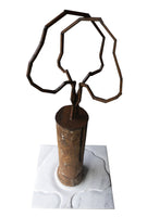 "Árvore e Solo - Memórias Vindouras"