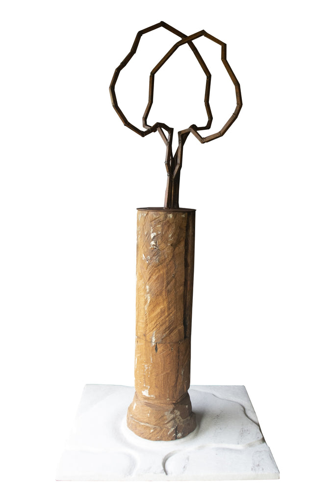 "Árvore e Solo - Memórias Vindouras"