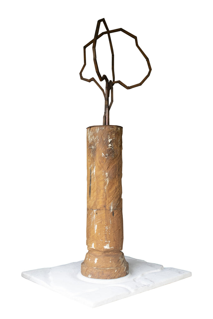 "Árvore e Solo - Memórias Vindouras"