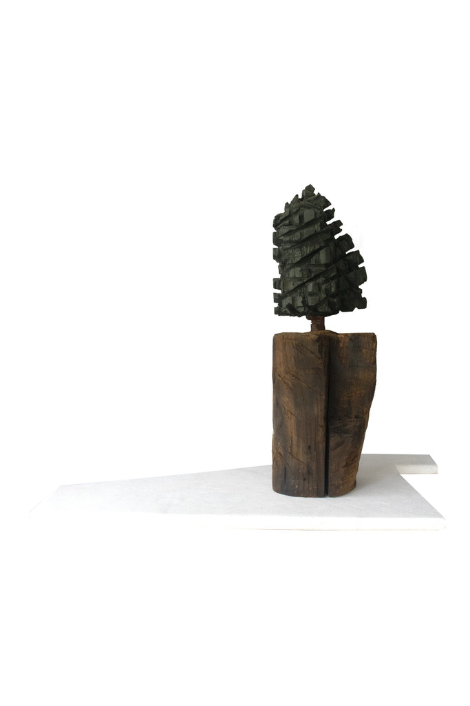 Série "Árvore e solo"