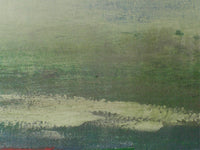 “Peregrinando XXXII”