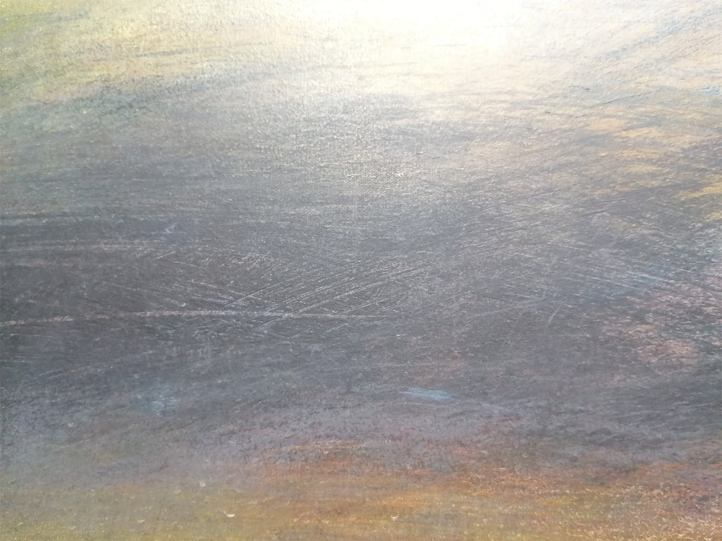 #14 Peregrinando Sempre