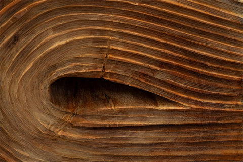 O processo (para Franz Kafka)