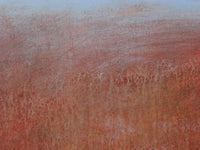 “Peregrinando XXV”