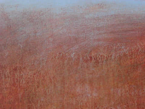 “Peregrinando XXV”