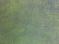 “Peregrinando XXXI”