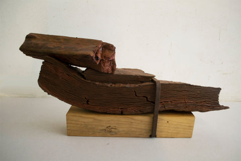 Resistência (do Caminho)