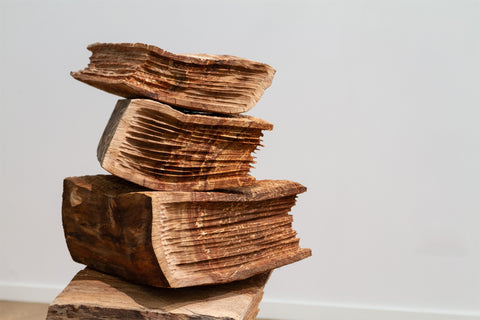 O processo (para Franz Kafka)