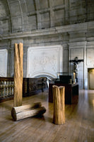 Trilogia de um Carvalho