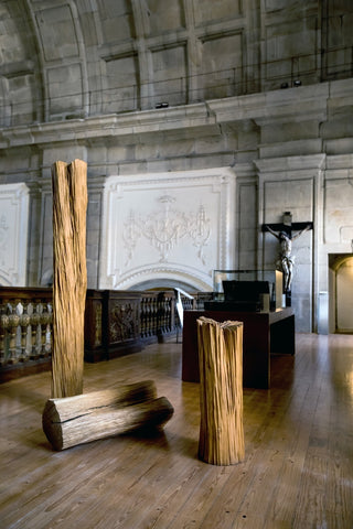 Trilogia de um Carvalho