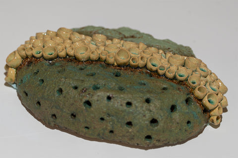 Coração em contramão