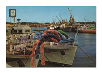 Souvenir da Memória 23