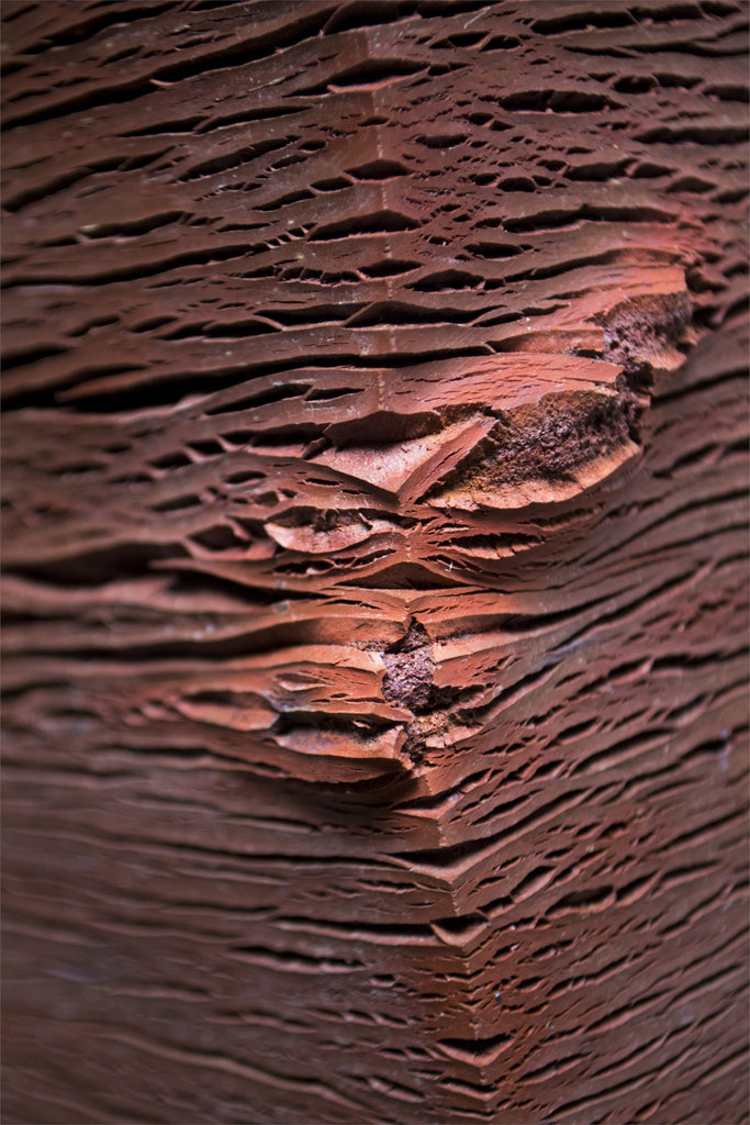 Resistência (do Diálogo) II