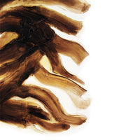 TEXTURE EXPERIENCE VI