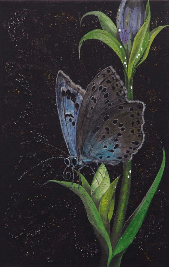 BORBOLETA AZUL