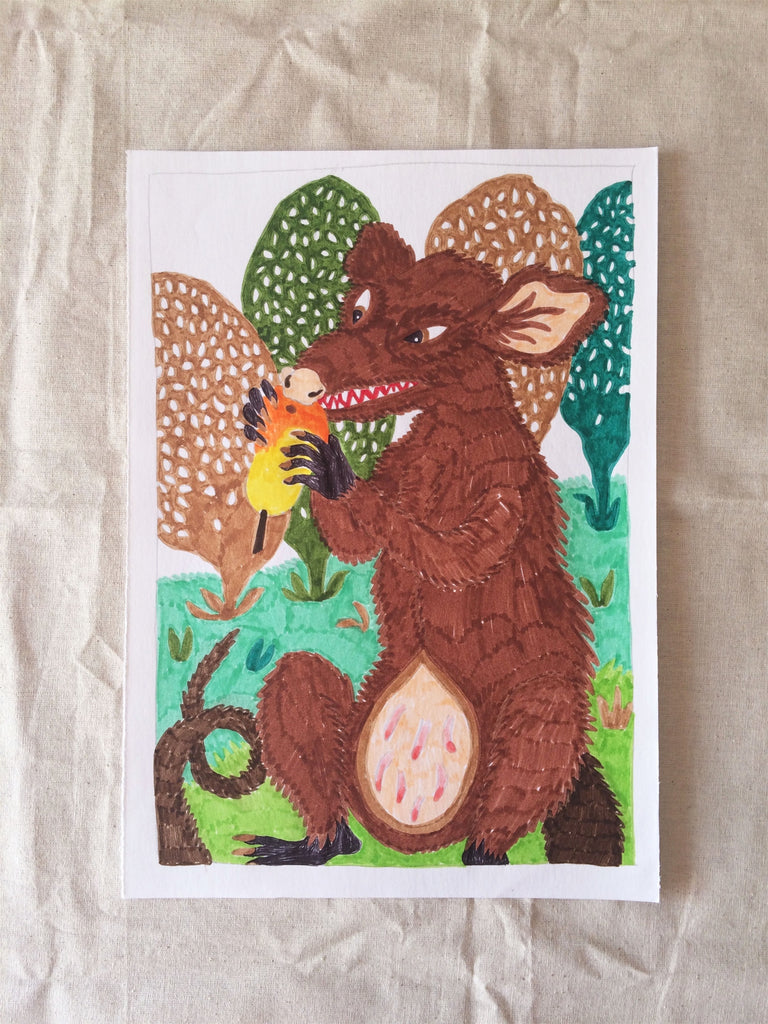 Sarigueia comum do sul