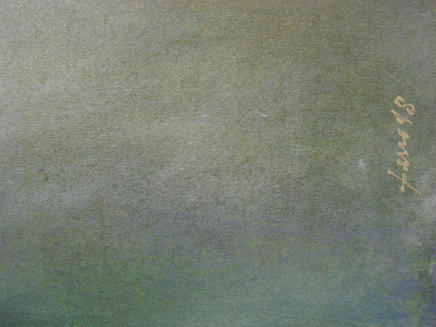 “Peregrinando XXII”