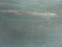 “Peregrinando XXVI”