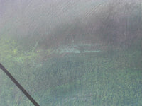 “Peregrinando XXXI”