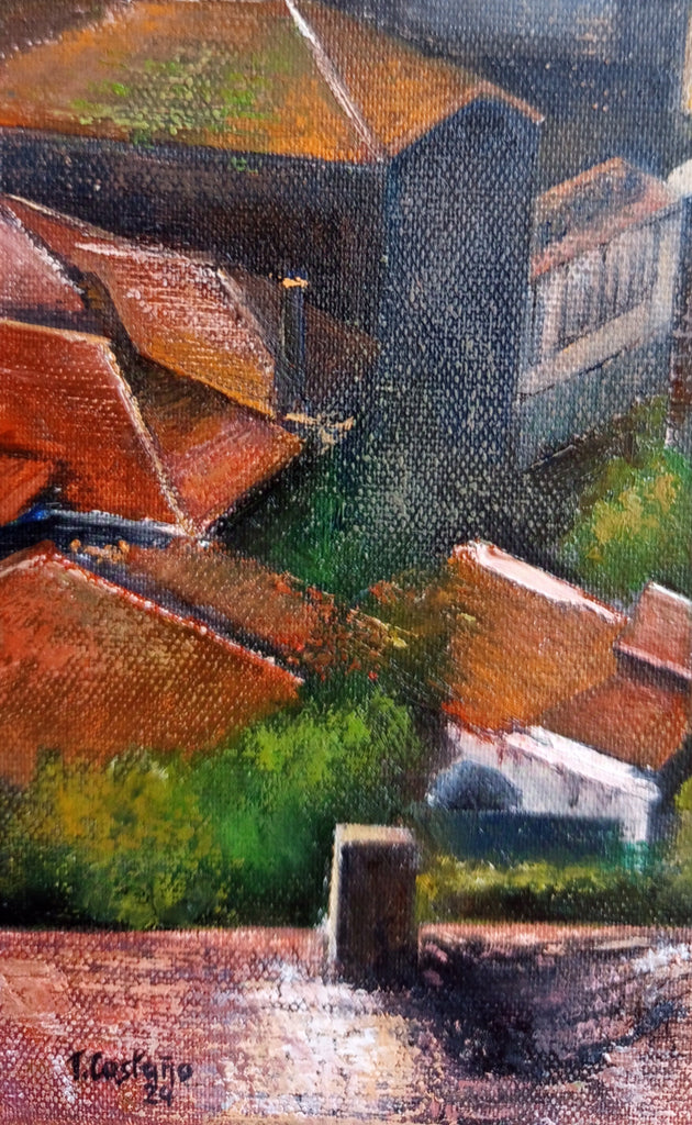 Niebla en el bajo Duero-Oporto