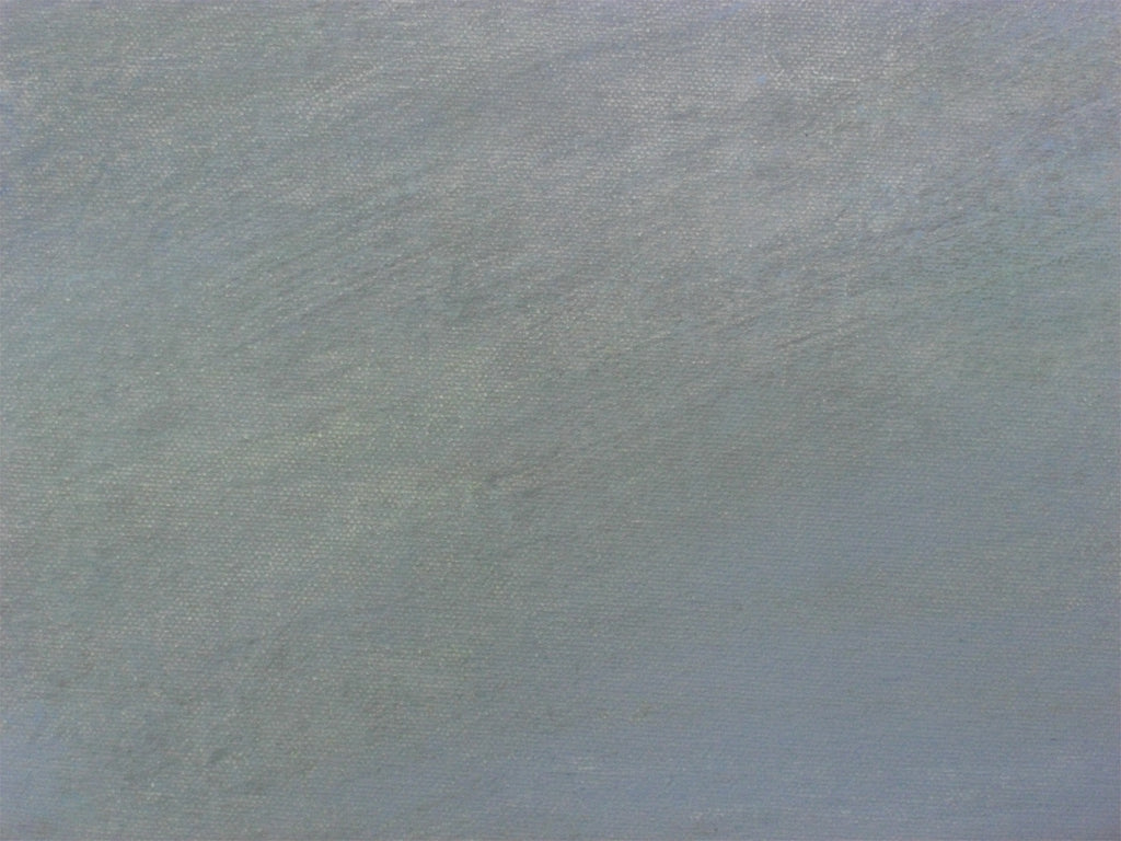 “Peregrinando XXIV”