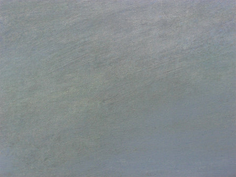 “Peregrinando XXIV”