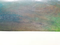 #13 Peregrinando Sempre