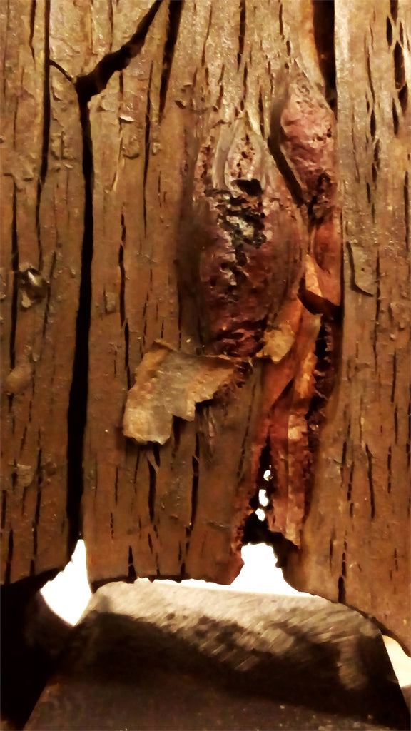 Resistência (do Eu)