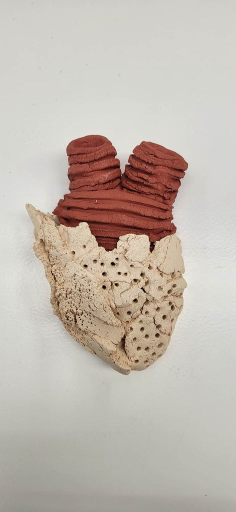 Coração em Contramão