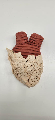 Coração em Contramão