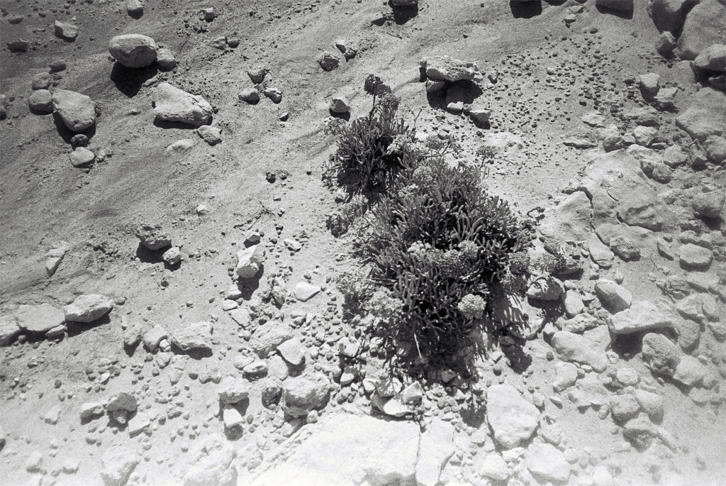 Series “Mirror Sketches”