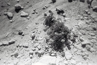 Series “Mirror Sketches”