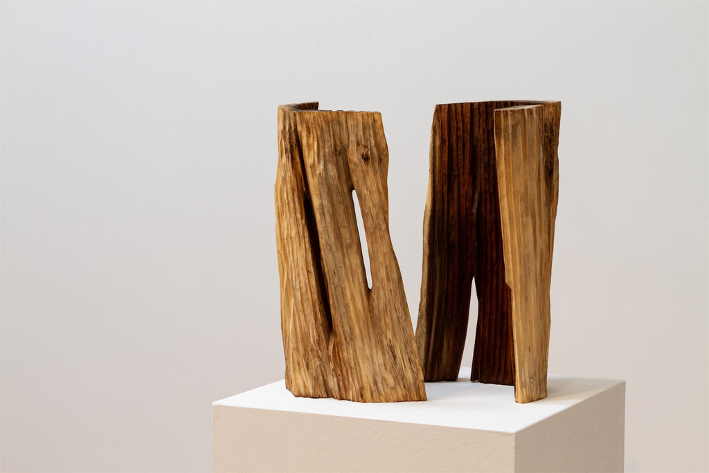 Monumento para uma árvore desconhecida II