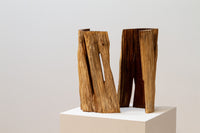 Monumento para uma árvore desconhecida II