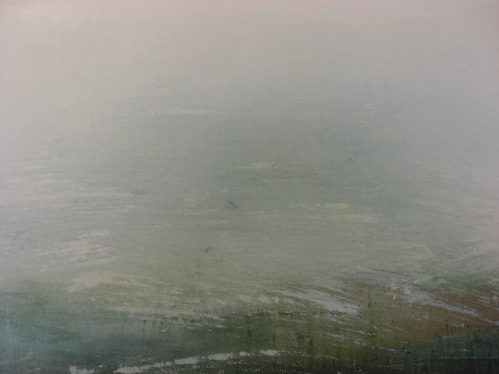 “Peregrinando XX”