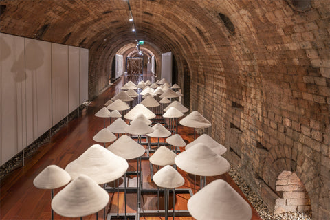 Ânion-Cátion (entre a terra e o céu)