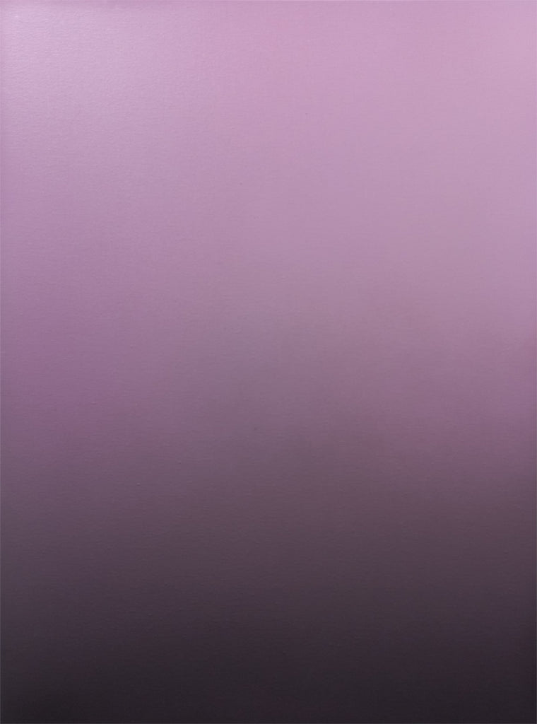 From the series Screenshot