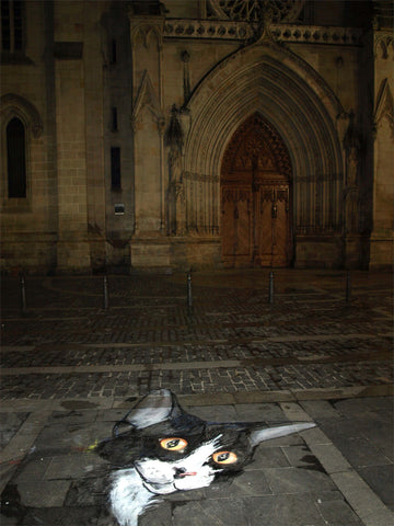 Un chat dans la nuit