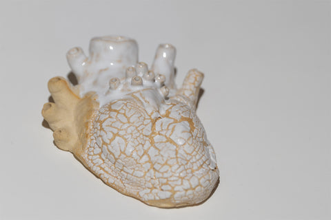 Coração em contramão